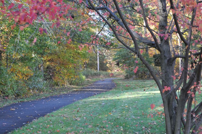Walking path curving through fall foliage