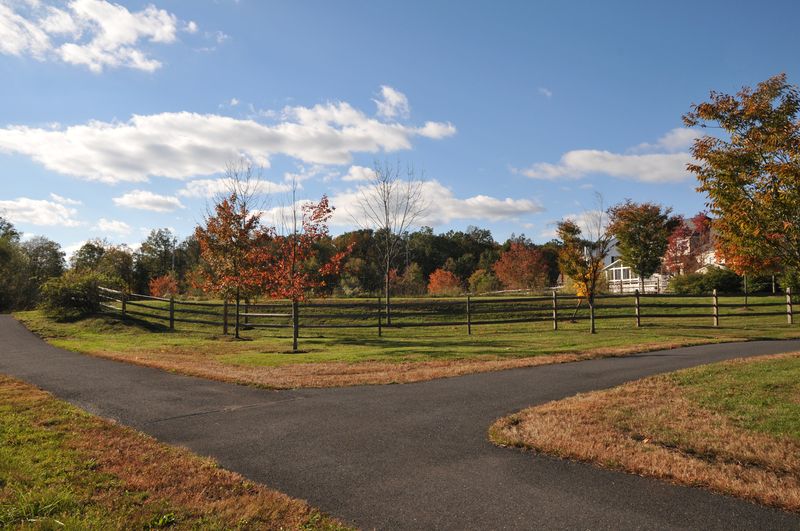 Fork in the walking path with a split-rail fence and fall trees
