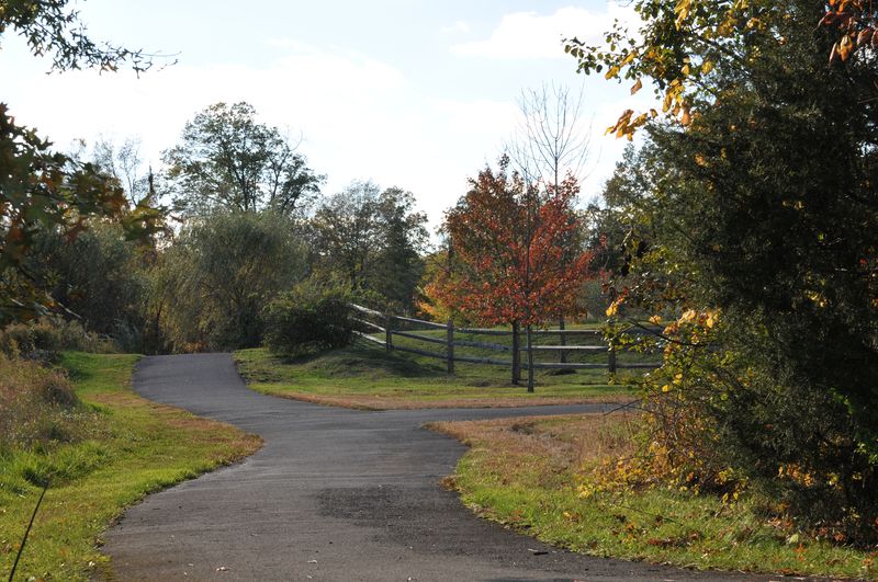 Walking path through the trees with a split-rail fence