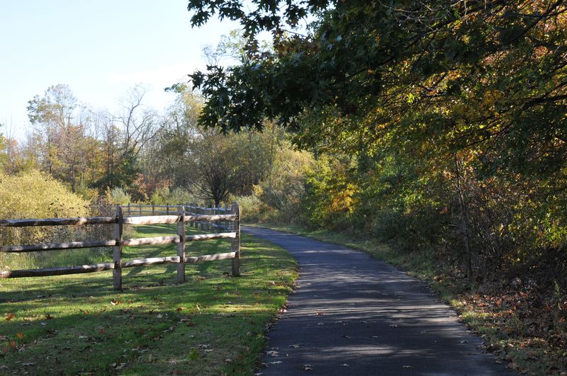 Paved walking path and split-rail fence through a community’s wooded open space